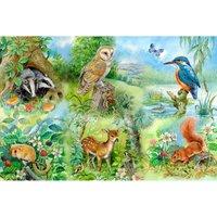 The House Of Puzzles Nature Study Big 250 Piece Jigsaw Puzzle, Multi
