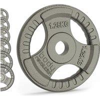 Body Revolution Cast Iron Weight Plates 1inch Standard Tri Grip Pairs 2 X 10Kg, Grey