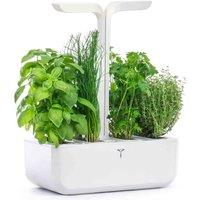 Veritable Classic - 4 Lingots, White