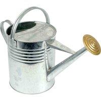 Arboria Garden Decor 9Ltr Galvanised Watering Can 52.5X25.8X23.6Cm, Silver