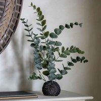 Gallery Direct Eucalyptus In Soil Dusky Green, Green
