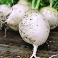 Thompson & Morgan Turnip Snowball 1 Seed Packet (1000 Seeds), White