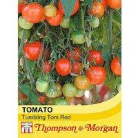 Thompson & Morgan Tomato Tumbling Tom Red 1 Seed Packet (15 Seeds), Red