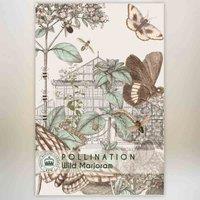 Thompson & Morgan Wild Marjoram Promo New Kew Range 1 Packet (1500 Seeds), Green