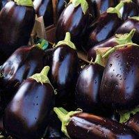 Thompson & Morgan Aubergine Bonica F1 Hybrid 1 Seed Packet (13 Seeds), Purple