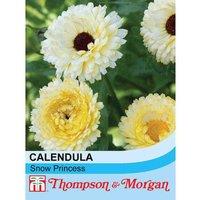 Thompson & Morgan Calendula Officinalis Snow Princess 1 Seed Packet (50 Seeds), Yellow