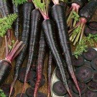 Thompson & Morgan Carrot Black Nebula 1 Seed Packet, Black