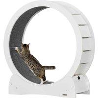 PawHut Cat Treadmill, 30" Wooden Cat Running Wheel with Brake, White, White