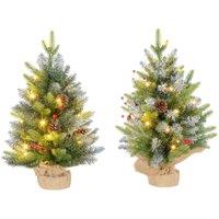 HOMCOM 2 Pieces 2' Prelit Artificial Tabletop Christmas Trees, Led Display, Green