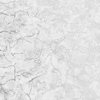 BOUTIQUE CARRARA GREY WALLPAPER, Grey