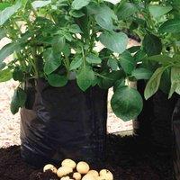 Thompson & Morgan Potato Grow Bags - Black/Grey - 5 Bags
