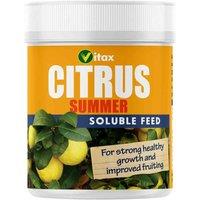 Thompson & Morgan Citrus Tree Summer Plant Feed - 200g Pack