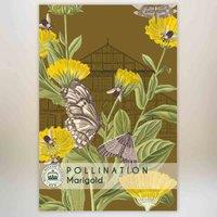 Thompson & Morgan Marigold Promo New Kew Range 1 Packet (100 Seeds), Red