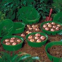 Thompson & Morgan Flower Bulb Planting Baskets - 15 pack, Green