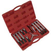 Sealey Bearing & Gear Puller Set 12Pc