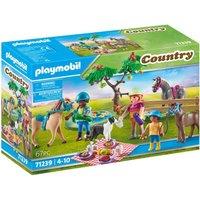 Playmobil Horse Farm - Country Picnic Outing With Horses 71239, Multi