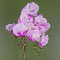 Orchid Artificial Light Pink Silver 50Cm Phalaenopsis Botanik, Pink