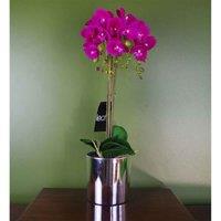 Artificial Orchid Large Dark Pink Silver 52Cm Botanik, Pink