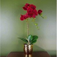 Orchid Artificial Dark Red Gold Pot 50Cm Phalaenopsis Botanik, Red