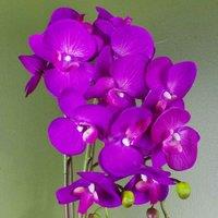 Artificial Orchid Large Purple Gold 52Cm Botanik, Purple