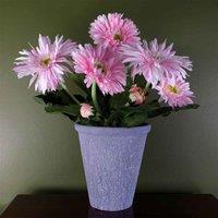 Pink Daisy Flowers Plant Flowering Plant Artificial Botanik, Pink