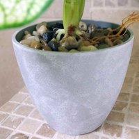Artificial Plant Realistic Natural Taro In Decorative Planter Botanik, Green