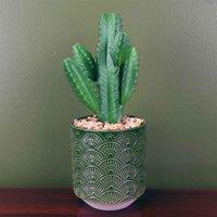 Artificial Cactus Cacti Planter Green Ceramic Botanik, Green