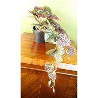 Artificial Trailing Purple Potted Pothos Plant Botanik, Purple