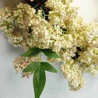Artificial Hanging White Berry Wreath Botanik, White