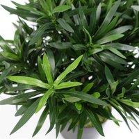 Realistic Artificial Bush Plant 40Cm Podocarpus - Realistic Plant By Botanik, Green