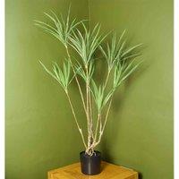Dragon Tree Dracaena Plant 125Cm Natural Look Artificial Botanik, Green