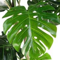 Artificial Monstera Plant 150Cm Luxury Cheese Plant 5Ft Tall Botanik, Green