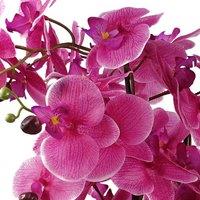 Orchid Artificial Purple Gold Ceramic Planter Botanik, Pink