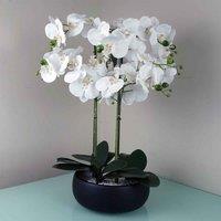 Orchid Artificial White Black Ceramic Planter Botanik, White
