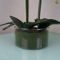 Artificial Orchid With Glass Planter White Botanik, White