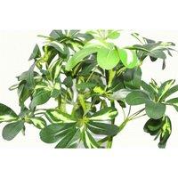 70Cm Artificial Twisted Stem Modern Arboricola Artificial Plant Bonsai Bush Botanik, Green