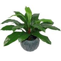 Artificial Bird Nest Fern Plastic Weighted Pot 60Cm Realistic House Plants Botanik, Green