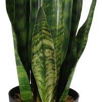 Artificial Plant Tropical Snake Plant Zeylanica Sansevieria 70Cm Sansevieria Botanik, Green