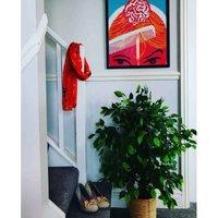 Artificial Ficus Tree Plant Green Extra Large Bushy Ficus 120Cm 4Ft Realistic Botanik, Green