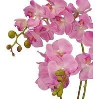 Leaf Artificial Orchid Flower 60Cm Pink Orchid Arrangement, Green