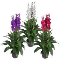 Leaf Artificial 100Cm Pink Cymbidium Orchid Plant - Extra Large, Pink