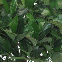 Leaf 50Cm Dwarf Artificial Bay Tree Laurel Topiary Bush, Green