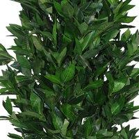 Leaf 120Cm 4Ft Artificial Topiary Bay Tree Pyramid Cone - Extra Large, Green