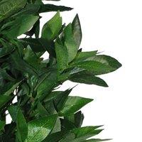 Leaf Pair Of 120Cm 4Ft Artificial Topiary Bay Trees Pyramid Cones - Extra Large, Green