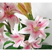 Leaf Artificial Lily Plant Stargazer Style 90Cm Pink White Pot, Pink