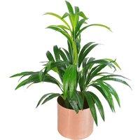 65Cm Artificial Bamboo Leaf Shrub With Brushed Copper Planter, Green