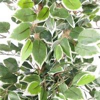 Leaf Artificial 130Cm Variegated White Green Bushy Ficus Tree, Green