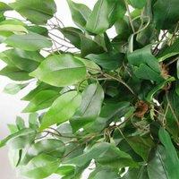 Leaf 90Cm Artificial Evergreen Ficus Tree, Green