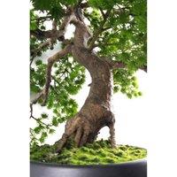 Leaf 50Cm Luxury Artificial Pine Bonsai Tree, Green