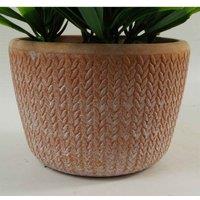 Leaf 22Cm Honey Plant Dark Green In Terracotta Pot, Green